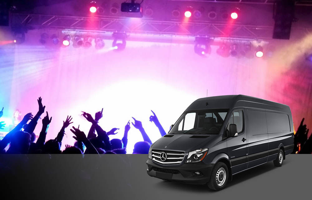 Concerts and Night Outs